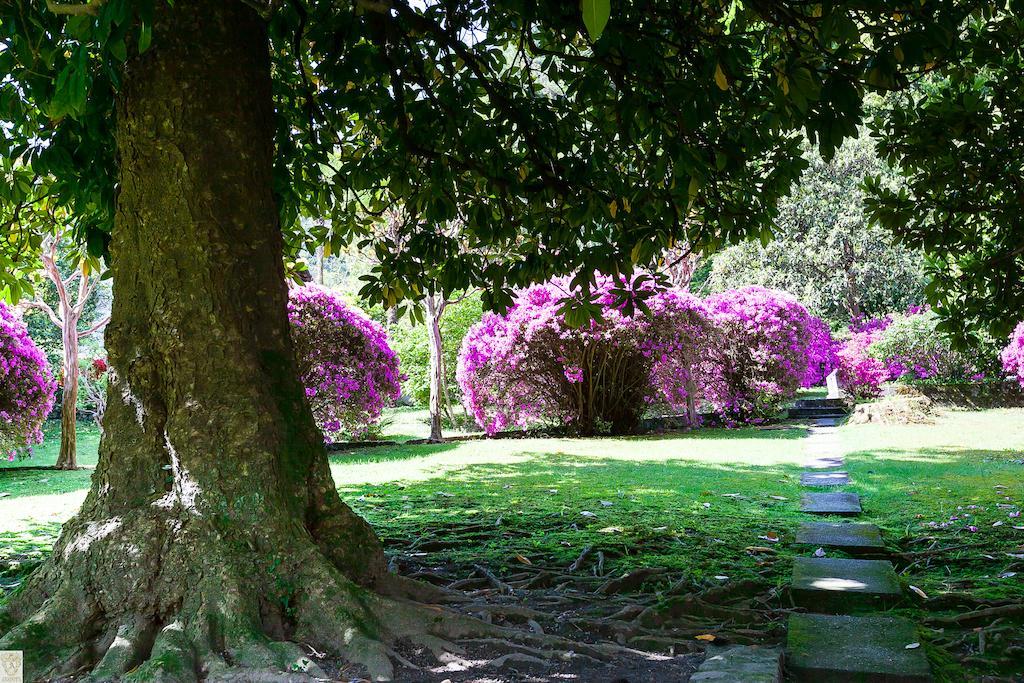 Hotel Villa E Palazzo Aminta Stresa Exterior foto